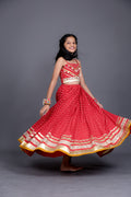 Pari Kids Choli Raas'26