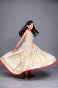 Mishti Kids Choli Raas'26
