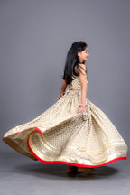 Mishti Kids Choli Raas'26