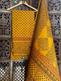 Bagh Handblock Cotton Suit